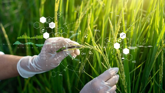 nuova legislazione europea piante geneticamente modificate