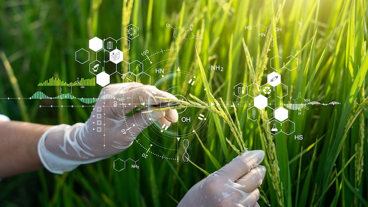 nuova legislazione europea piante geneticamente modificate
