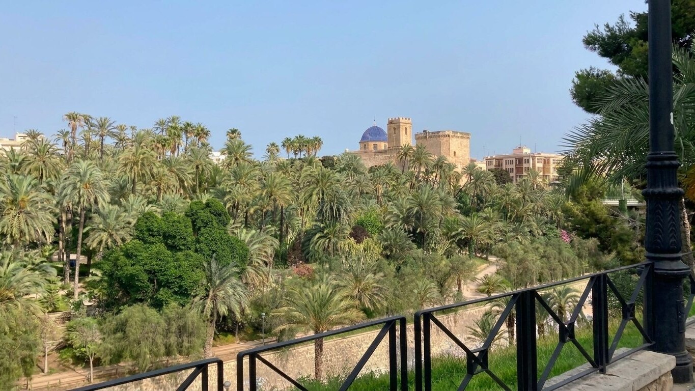 palmeral elche