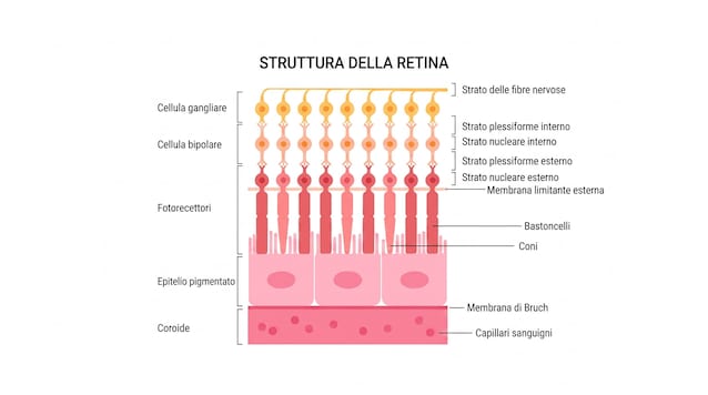strati-retina
