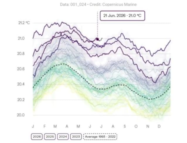 temperature-oceano-copernicus-2