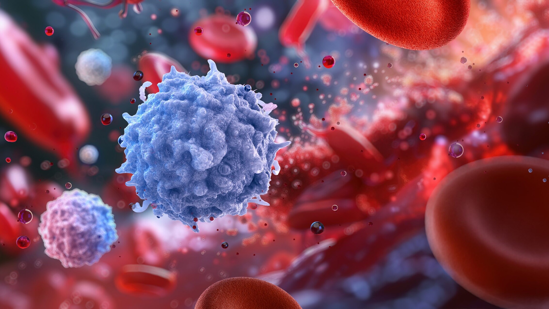 evoluzione cellule del sangue