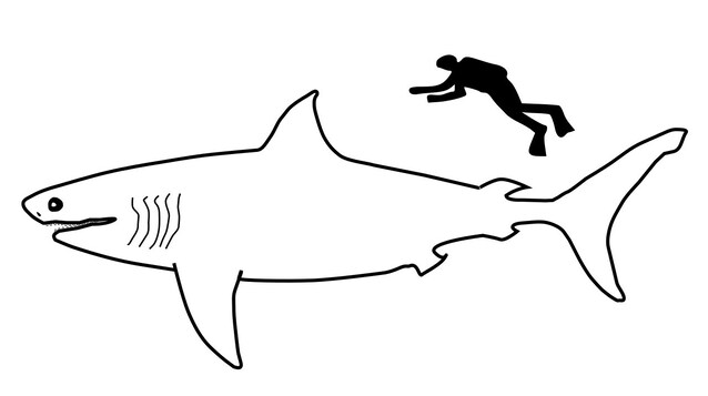 Cretoxyrhina_mantelli