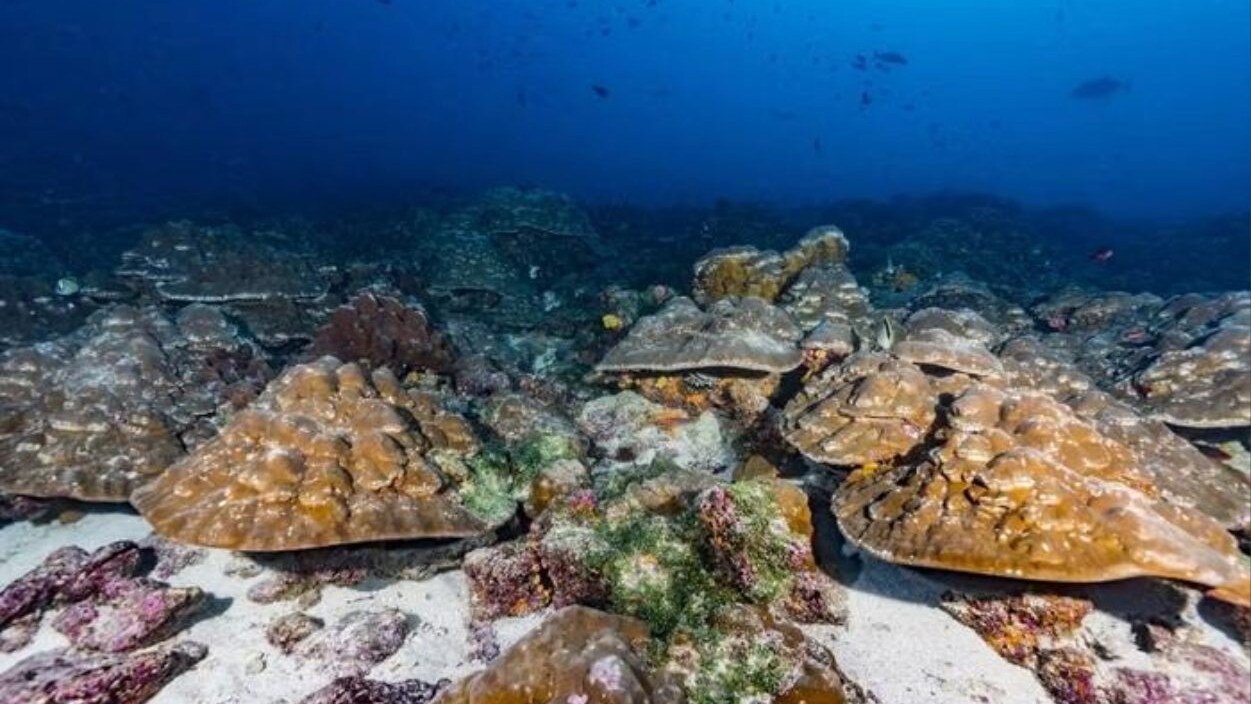 el nino intensificazione