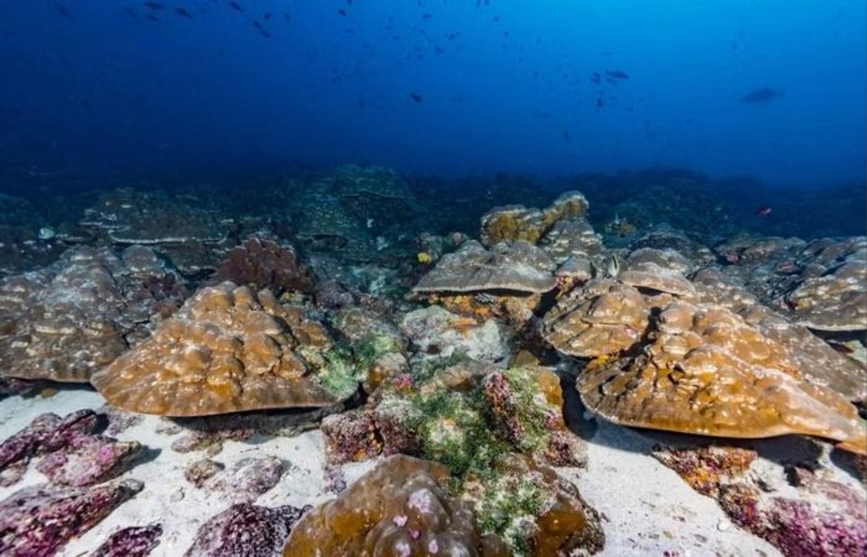 el nino intensificazione