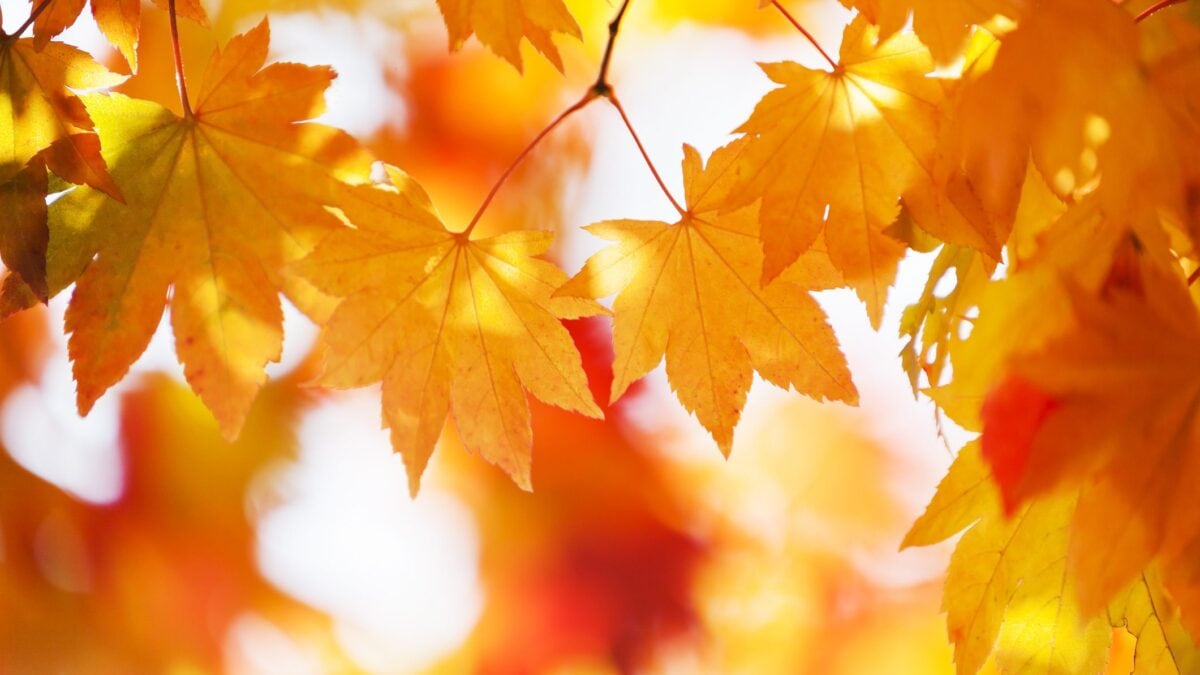 equinozio autunno