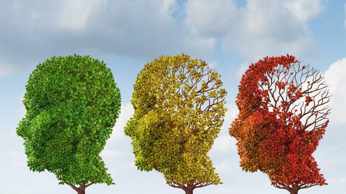 invecchiamento cerebrale