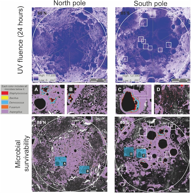 mappa contaminazione microbica luna