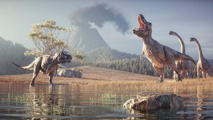 Anidride carbonica nel mesozoico_denti dinosauri
