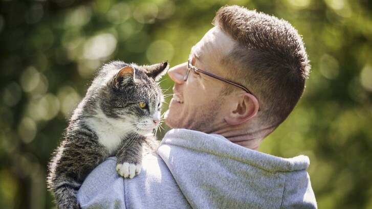 Compagnia gatto migliora umore