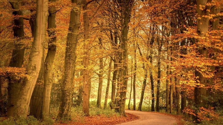 Luce autunno caldo