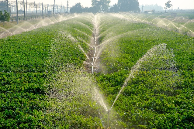 L'uso dell'acqua in agricoltura.