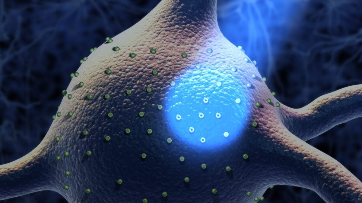Neurone e optogenetica