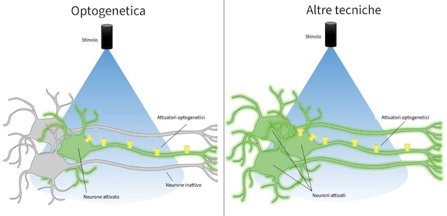 Optogenetica e altre tecniche