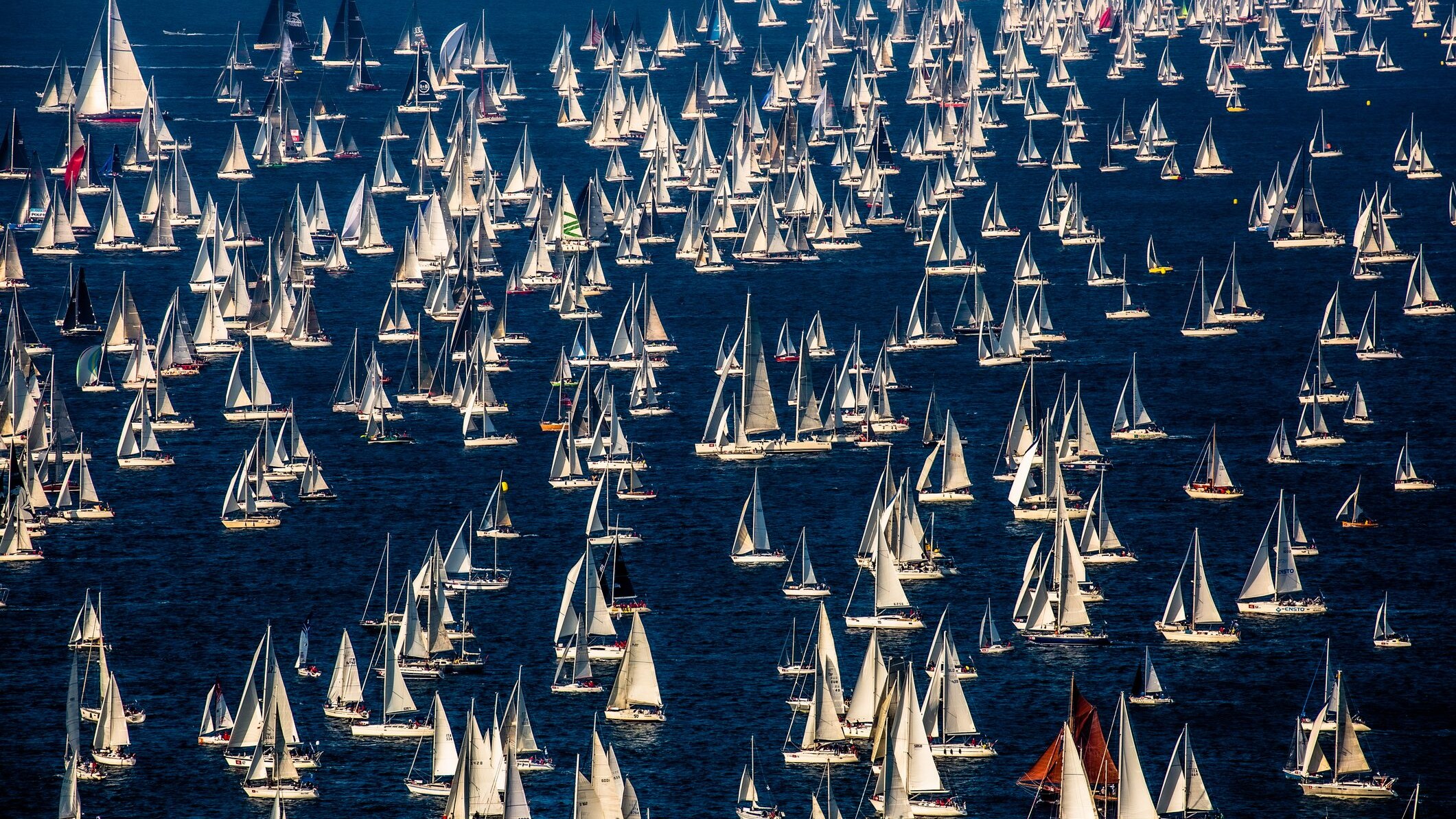 barcolana