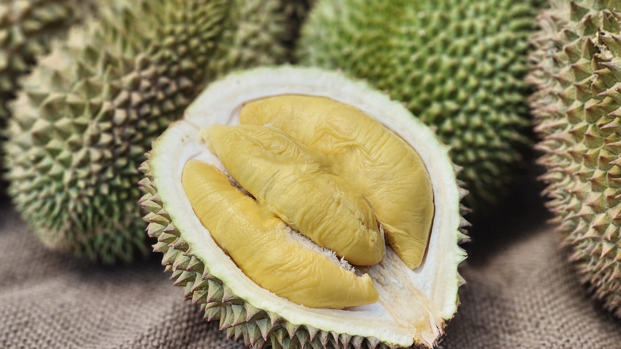 durian