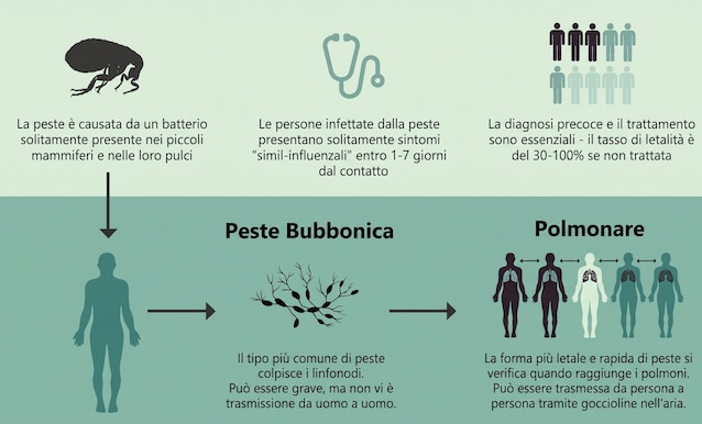 schema peste